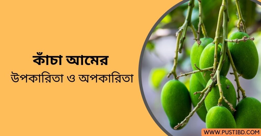 কাঁচা আমের উপকারিতা ও অপকারিতা