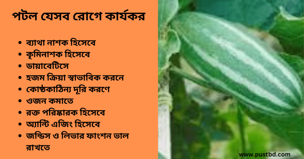 পটলের উপকারিতা