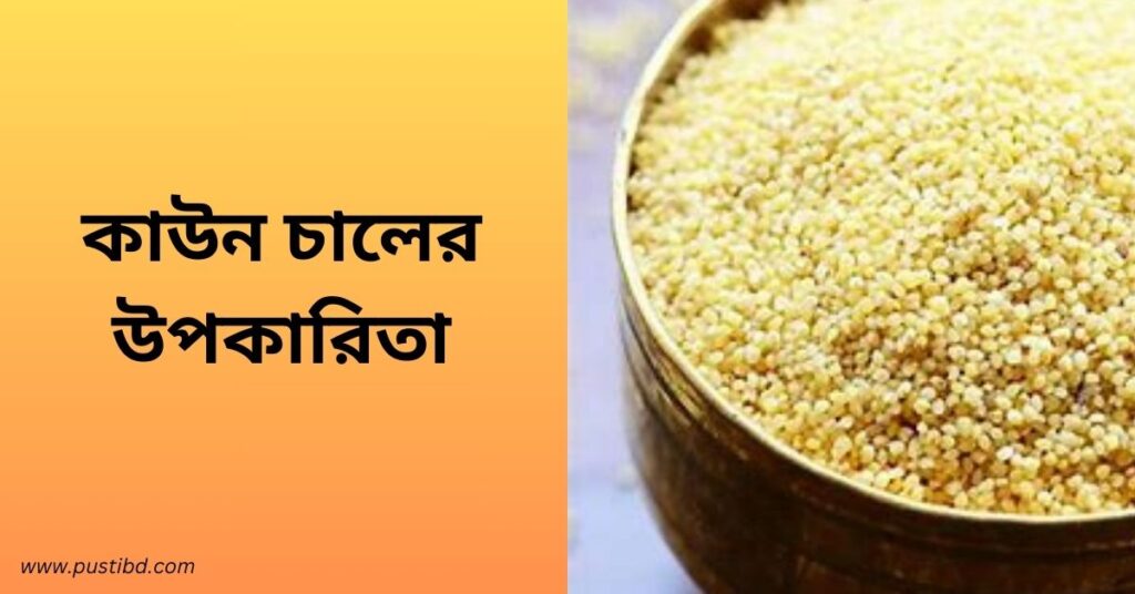 কাউনের চাল